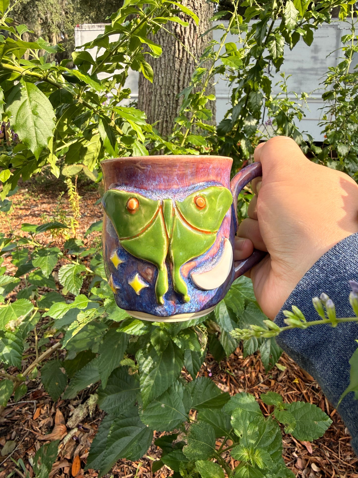 Luna Moth